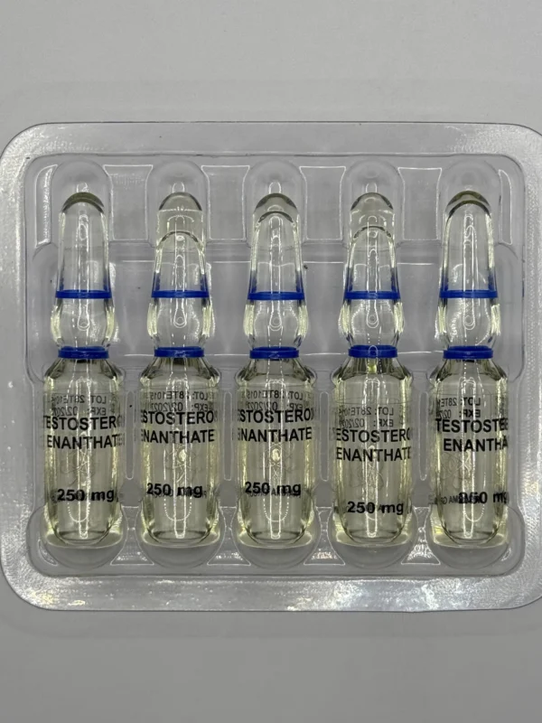 Testosterone Enanthate 10amp x 250mg - Image 3