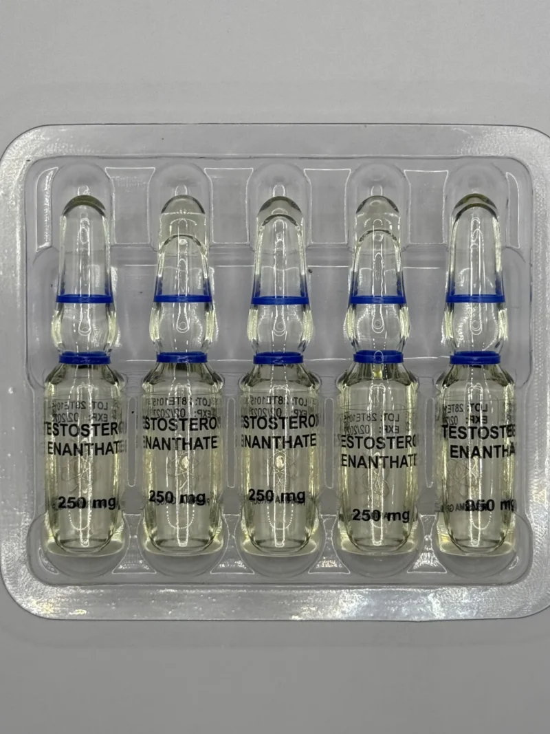 Testosterone Enanthate 10amp x 250mg