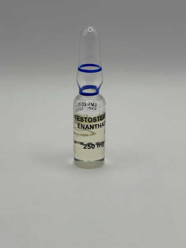 Testosterone Enanthate 10amp x 250mg - Image 4