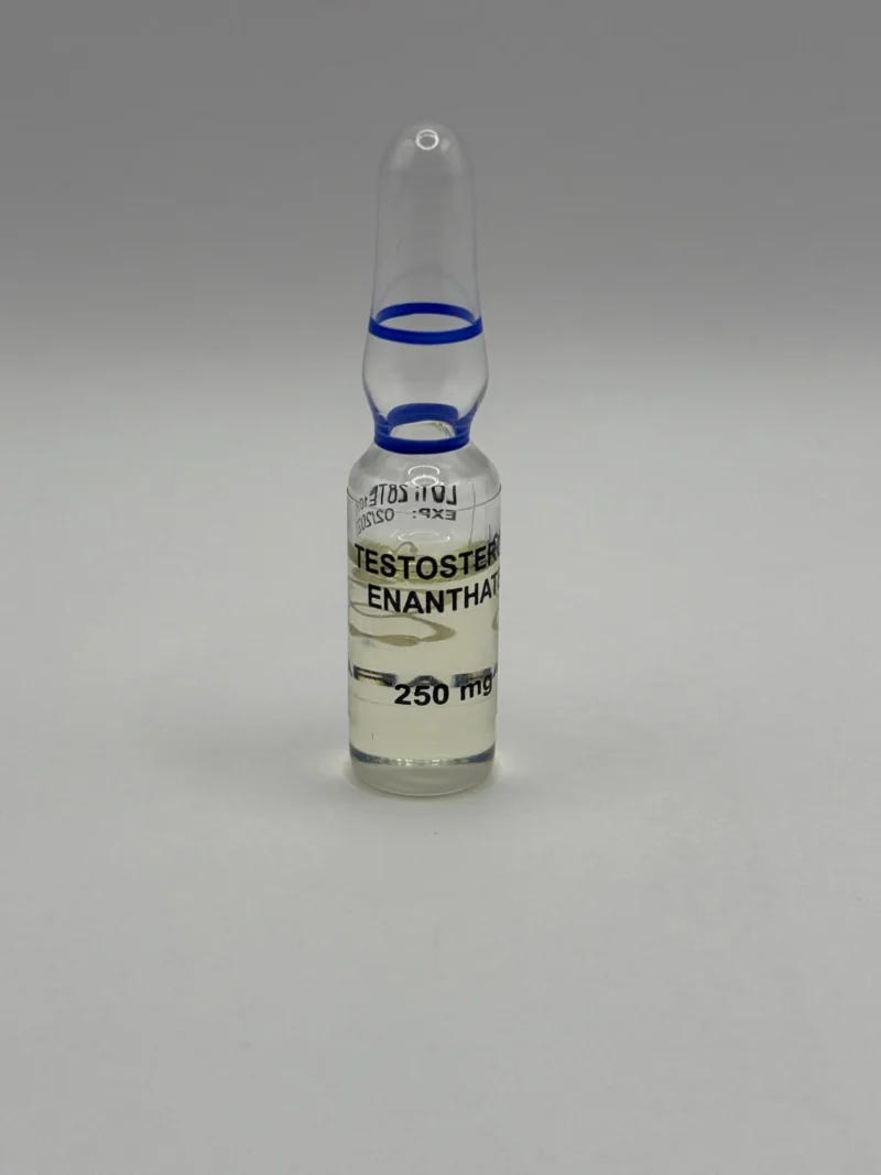 Testosterone Enanthate 10amp x 250mg